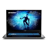 ERAZER Defender P50 43,9 cm (17,3' Zoll 100% sRGB 144Hz) FHD Gaming Laptop (Intel Core...