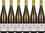 Gut von Beiden Grauburgunder 2024 Trocken Bioland Bio (6 x 0.75 l)