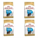 Royal Canin Yorkshire Terrier Puppy Trockenfutter | 4er Pack | 4 x 500 g | Speziell für...