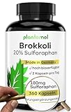 20% Sulforaphan! 360 Sulforaphan Kapseln hochdosiert aus Brokkoli-Extrakt mit...