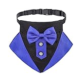 Sbyhbhyds Verstellbares Halsband für Hunde, Hundehalsband mit schwarzer Krawatte,...