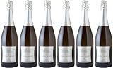 Domaine La Bonnelière Cuvée Blanche Cremant de Loire AOP Brut (herb) (6 x 0.75 l)