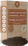 Wurzelaktivator mit Mykorrhiza 0.9 Kg - Bewurzelungspulver für Stecklinge &...