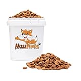 Aprikosenkerne bitter 1kg bittere ganze Aprikosenkerne ungesalzen ungeröstet...