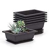 Tiamu 6 Pack Bonsai Trainingstöpfe, Blumentopf Rechteckig mit Untersetzer, Bonsaischale...
