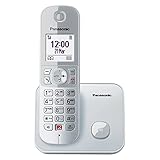 Panasonic Dual-Micro/Nano KX-TG6851GS Schnurlostelefon (Bis zu 1.000...