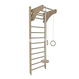 Generic Sprossenwand aus Holz Indoor + Turnringe Klettergerüst Klettwerwand (Weiss)