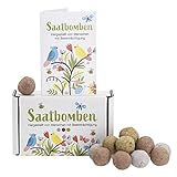 15er Pack handgemachte bunte Samenbomben ideal für kleine Ostergeschenke,...