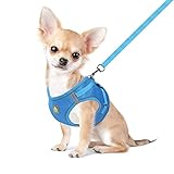 FEimaX Hundegeschirr mit Leine für Kleine Mittele Hunde Katzen Weich Mesh...