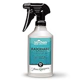 bio-chem Backofenreiniger Spray 500 ml | Extra starkes Konzentrat | Löst...