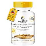 Cordyceps Extrakt 500 mg - 120 Kapseln, standardisiert auf 40% Polysaccharide,...