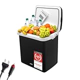 TZS First Austria elektrische Kühlbox 32 Liter | 12 Volt & 230 Volt Anschluss |...