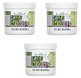Kräuterhof Balsam | Alter Heideschäfer Salben 3 Dosen a 250 ml Göße 3x250 ml - Gel mit...