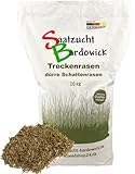 10kg für ca. 300 m² Schattenrasen dürreresistent Rasensamen Qualität Rasen...