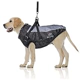 Bella & Balu gefütterte Hunde Winterjacke mit Leine – XS grau | Hundekleidung für...