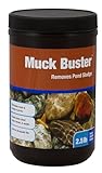 Blue Thumb Muck Buster Teichreiniger, 1,1 kg