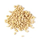 1kg Pinienkerne | geschält | naturbelassen | Top Qualität | LIBRA FOOD