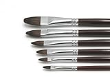 Paintersisters® Künstler Pinselset 1' für Acryl & Ölfarbe, 6 hochwertige Pinsel aus...