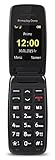 Primo 401 by Doro - GSM Mobiltelefon mit großem beleuchtetem Farbdisplay -...