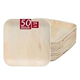 BIODORF Palmblattgeschirr | 50 Teller (24 x 24 cm Quadratisch) | Bio Einweggeschirr...