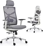 HOLLUDLE Ergonomischer Bürostuhl mit Adaptiver Rückenlehne, Schreibtischstuhl mit 4D...
