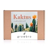 Kaktus, growbro Anzuchtset inkl. Sprühflasche, Geburtstagsgeschenk, Sukkulenten,...