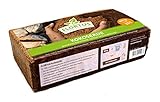 FLORTUS – Kokos Anzuchterde 10L – Kokoserde gepresst aus nachwachsenden...