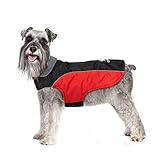 IREENUO Hundemantel Winter, Hundemantel Wasserdicht für Kleine Hunde und Mittelgroße...