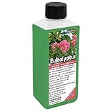GREEN24 Eukalyptus Dünger NK-Flüssigdünger für Eucalypten wie...