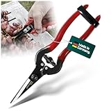 BERGER Traubenschere 1600 | filigrane Ernte- und Trimmschere | Gartenschere mit...