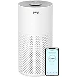 GOLOGI Luftreiniger Raucherzimmer, Air Purifier mit HEPA-Filter 13 Luftfilter, 210m3/h...