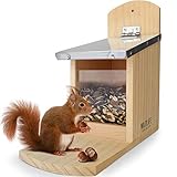 WILDLIFE FRIEND Eichhörnchen Futterhaus aus Kiefernholz - Wetterfestes...