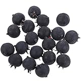 LOLIPPYY 20 Stück Teiliges Künstliche Blaubeeren Realistische Simulation aus Schaumstoff...