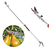 FLORA GUARD Teleskop Astschere,1,6-2,5 m, ausziehbar – leicht und robust, Obstpflücker...