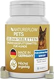 Gelenktabletten Hunde – Test SEHR GUT Made in Germany mit Grünlippmuschel, MSM und...