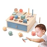 Montessori Spielzeug Set, Farbe Sortierspiel Steckspiel Holzspielzeug, Tropfspielzeug,...