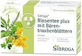Sidroga Blasentee plus mit Bärentraubenblättern