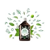 Vita Biosa Original 500 ml in Bio Qualität - Fermentgetränk mit Milchsäurebakterien aus...