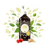 Vita Biosa Ingwer + Vitamin C 1 Liter in Bio Qualität - Extra-Portion Ingwer...