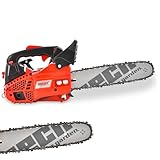 HECHT Benzin Kettensäge – 25,4 cm³ Hubraum – 30 cm Schwert – Rückschlagbremse –...