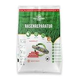 Rasenpellets Schnellkeimend für Sport und Spiel - Rasensamen für Robusten und...