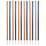 Trixie 3206 Dog Activity Agility Slalom, Kunststoff, ø 3 × 115 cm, 12 St., blau/orange