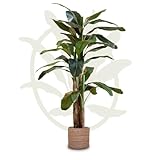Maia Shop | Künstliche Bananenpflanze | Kunstpflanze | Maße: 210 x 110 cm |...