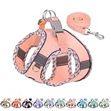 AIITLE Kleines Hundegeschirr, Katzengeschirr mit Leine, einstellbares Hundegeschirr mit...