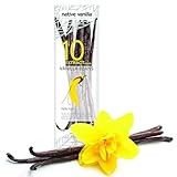 Native Vanilla - Tahitianische Vanilleschoten für Vanilleextrakt 10 Stück 11-14cm...