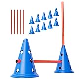 ANISKILLS® - Premium Agility Set - 10 Blaue Kegel 30,5cm hoch, 5 orangene Stangen 80cm...