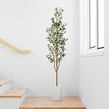 PASCH® Künstlicher Olivenbaum (180 cm) - Stilvoll & Naturgetreu | Künstliche...