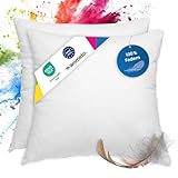 wometo 2er Set Federkissen 100% Federn 40x40-300g Oeko-TEX Sofakissen...