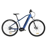 Varstrom Elektrofahrrad für Erwachsene Mittelmotor 250W 100 Nm E-Bike Damen Herren Ebike...
