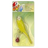 Arquivet vogelspielzeug